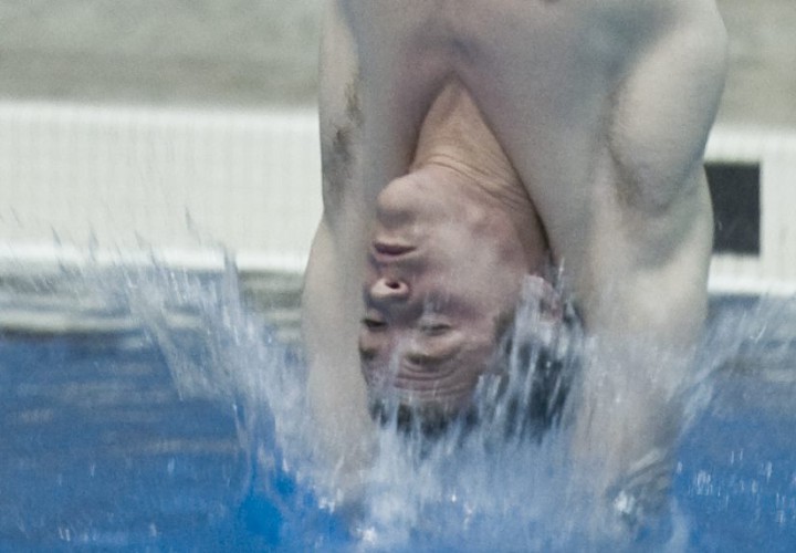 usa-diving-names-fina-diving-world-series-rosters