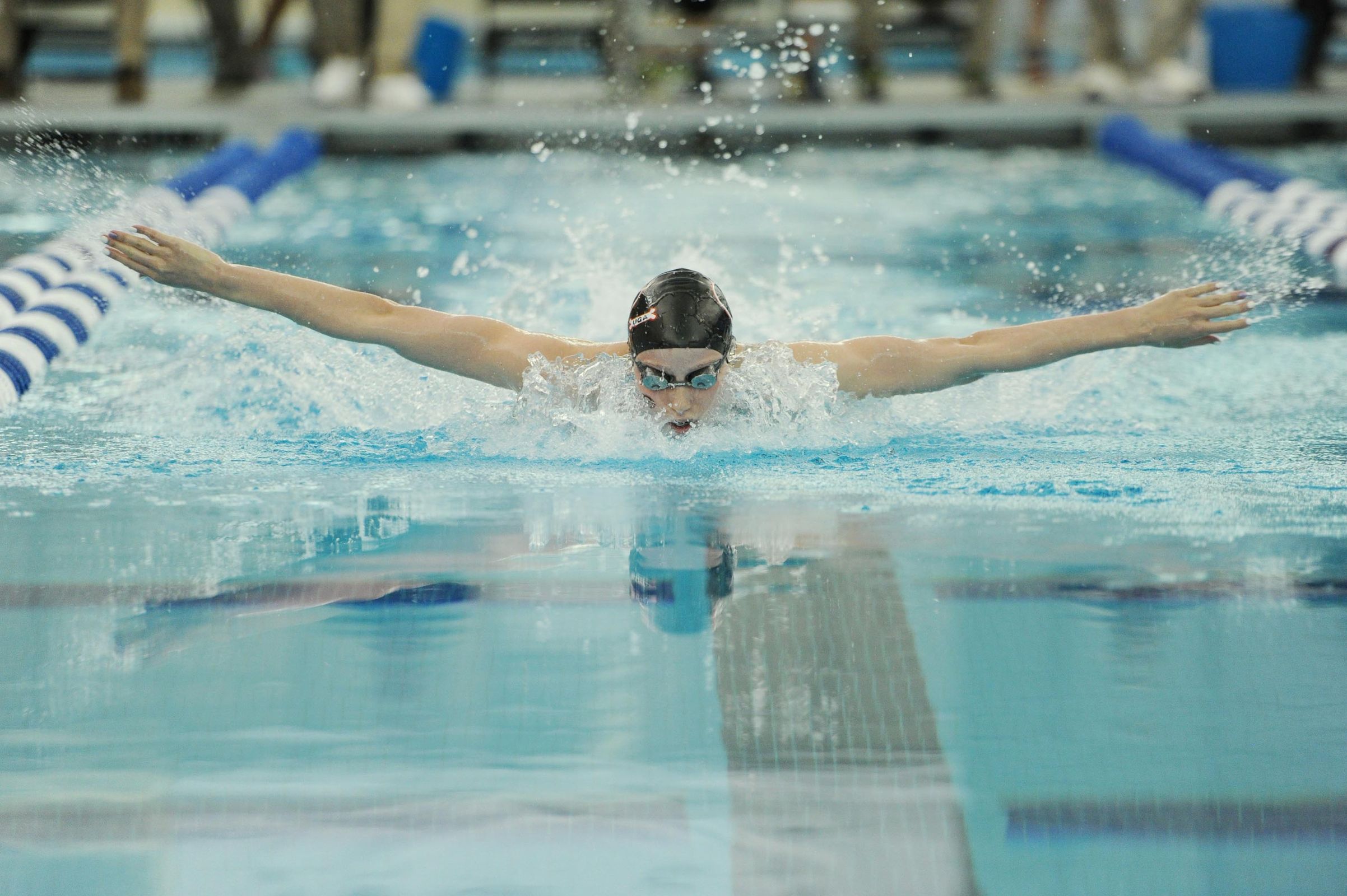 NCAA Swimming Division I Swimming and DivingChampionships Swimming