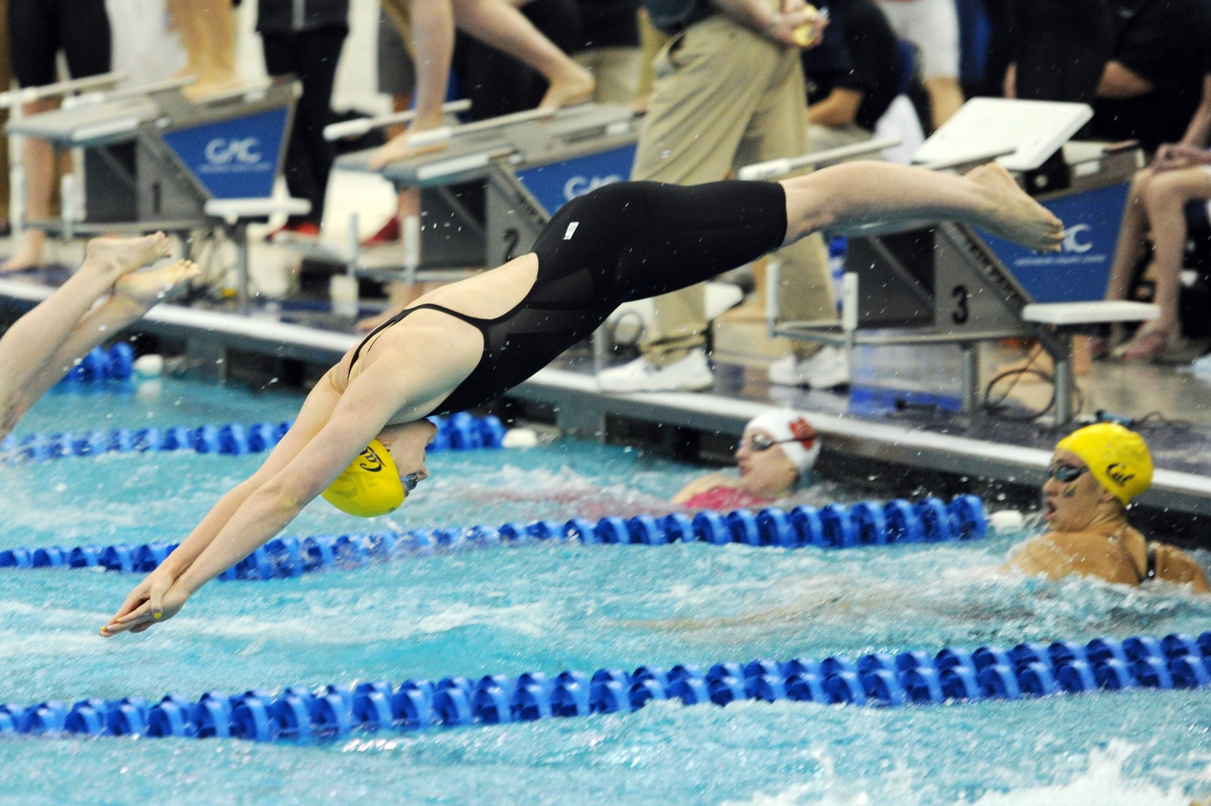NCAA Swimming Division I Swimming And Diving Championships Swimming 