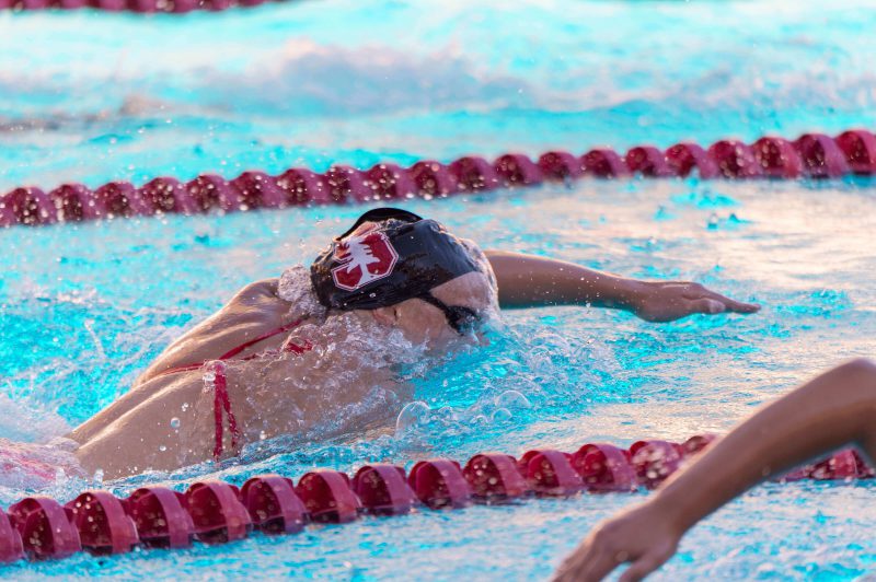 katieledeckyracingstanford Swimming World News