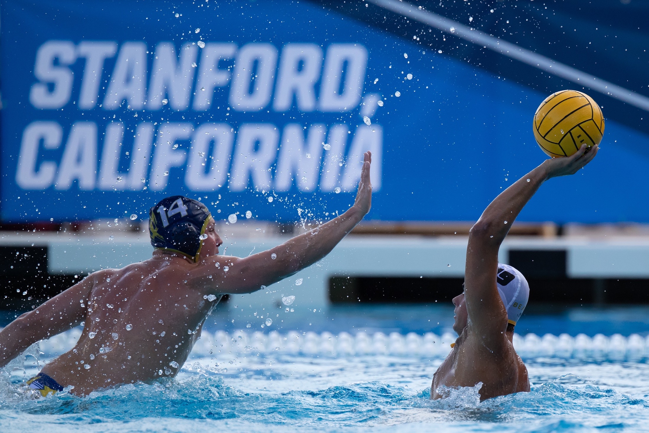 Wins by UC San Diego, UCLA Finalize the 2018 NCAA Men’s Water Polo